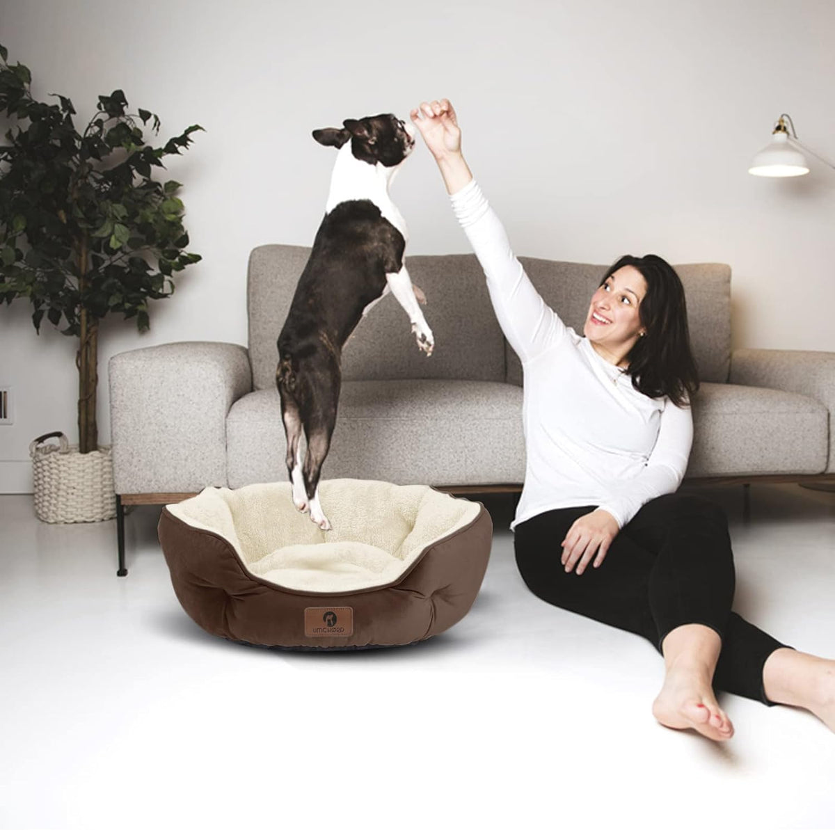 Water-Resistant Small Pet Bed