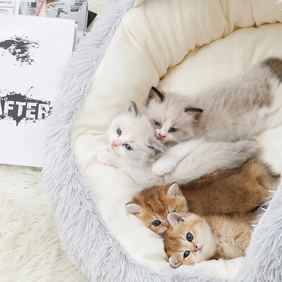 Dog Bed & Cat Cave Bed with Hooded Cover