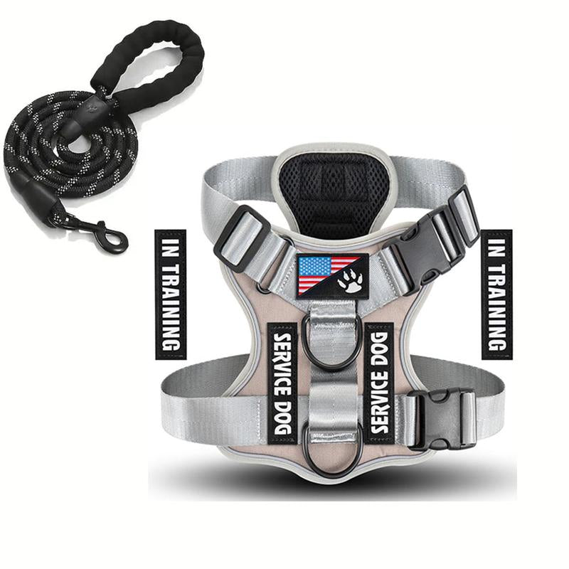 Dog Harness with Leash