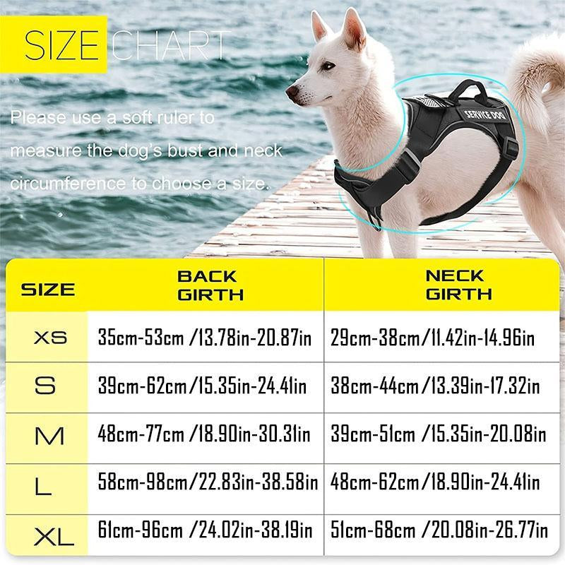 Dog Harness with Leash